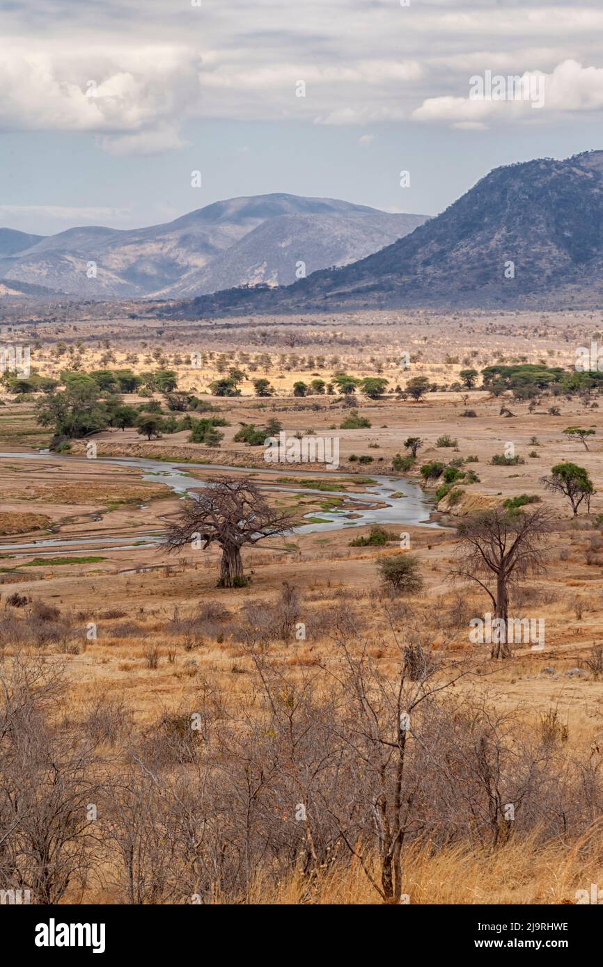 África, Tanzania, Parque Nacional Ruaha. Vista del paisaje en el Parque Nacional Ruaha. Foto de stock