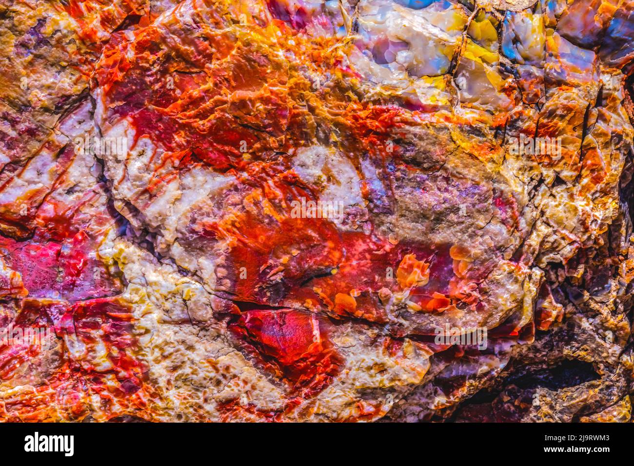 Madera petrificada, Bosque Cristal, Parque Nacional Bosque Petrificado, Arizona. Foto de stock