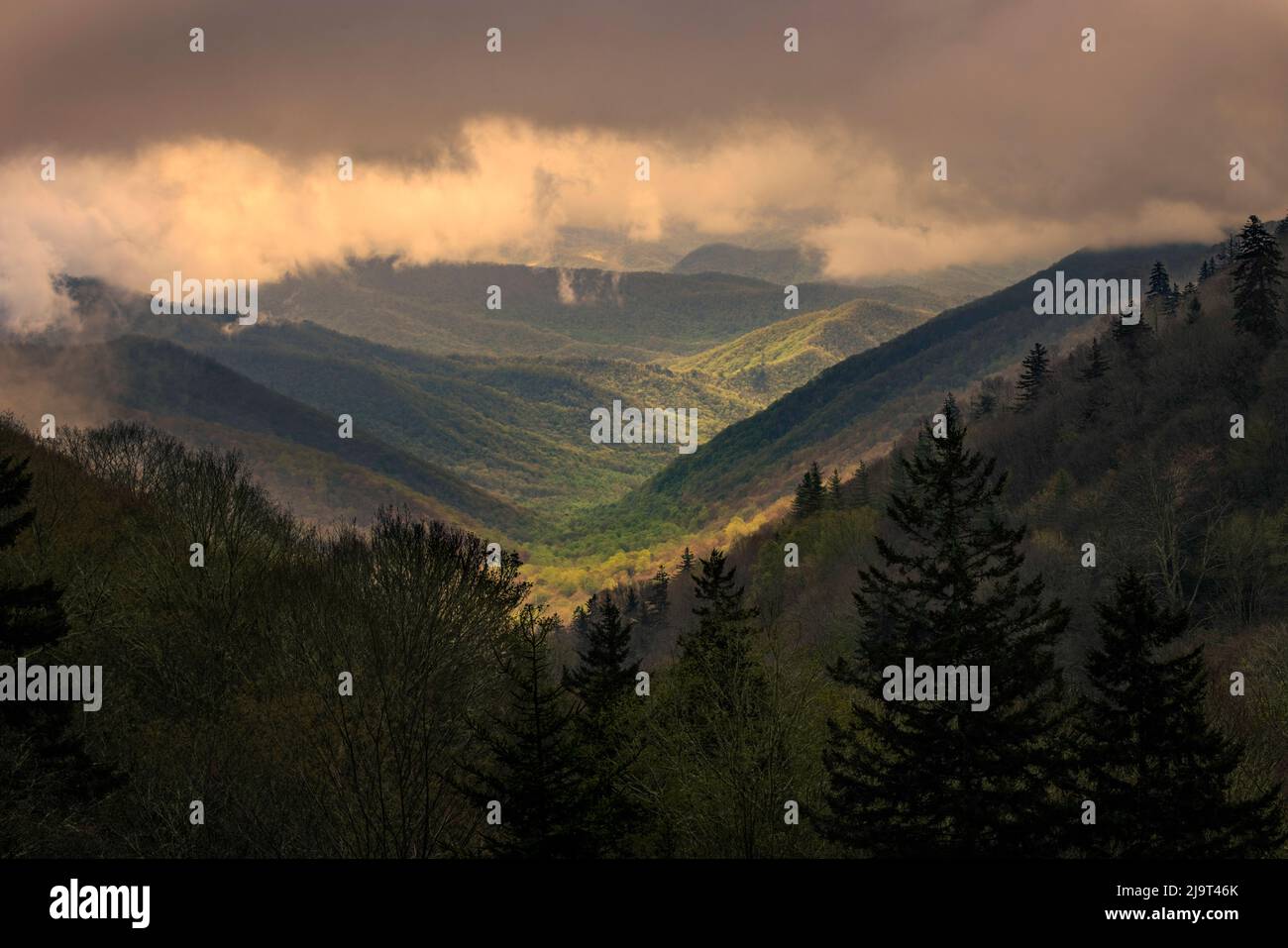 Vista de Oconaluftee Sunrise Valley, Great Smoky Mountains National Park, Carolina del Norte Foto de stock