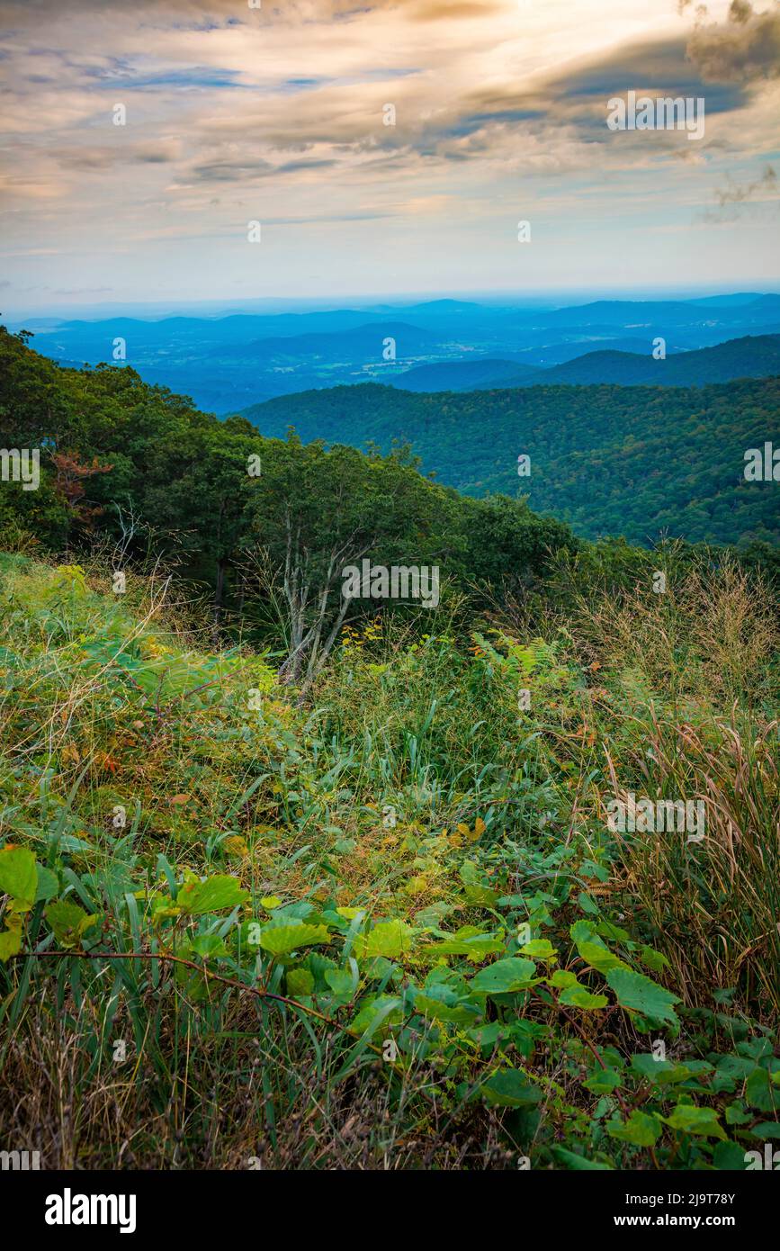 Shenandoah vista, Blue Ridge Parkway, Smoky Mountains, Estados Unidos. Foto de stock