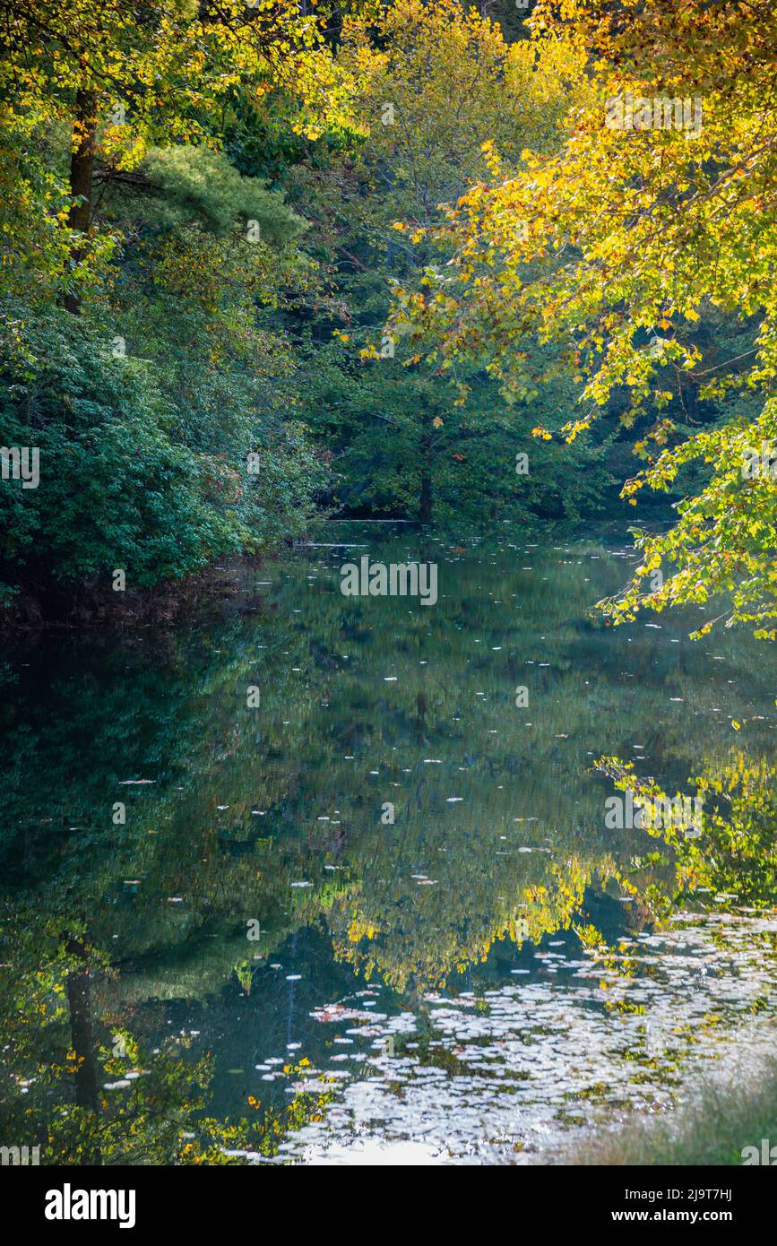 Reflections, Otter Lake, Blue Ridge Parkway, Smoky Mountains, Estados Unidos. Foto de stock