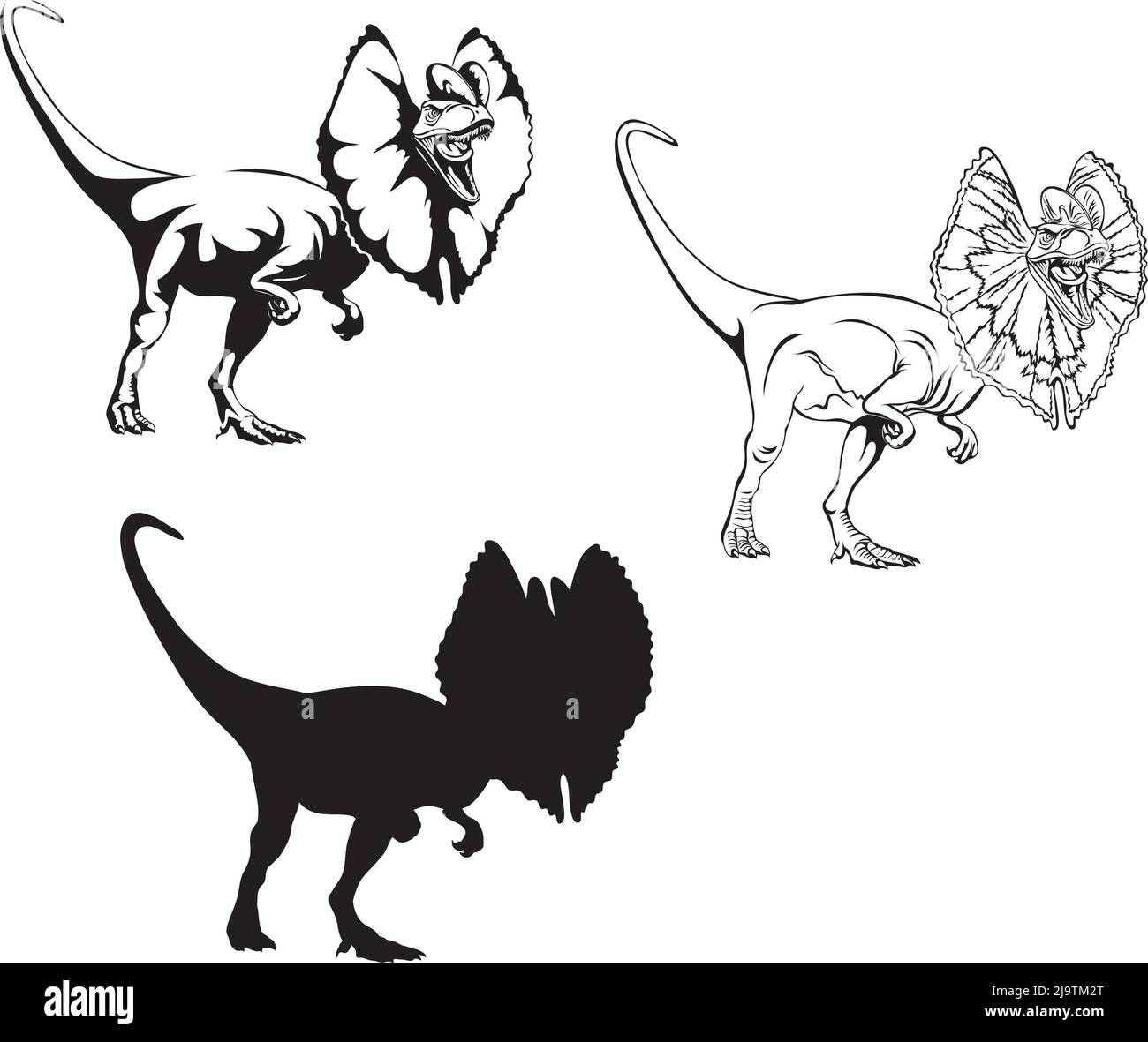 Dilophosaurus, imagen realista de dinosaurio, vector, posiciones, ilustración, blanco y negro, silueta, logotipo, marca registrada, galón para decoración y des Ilustración del Vector
