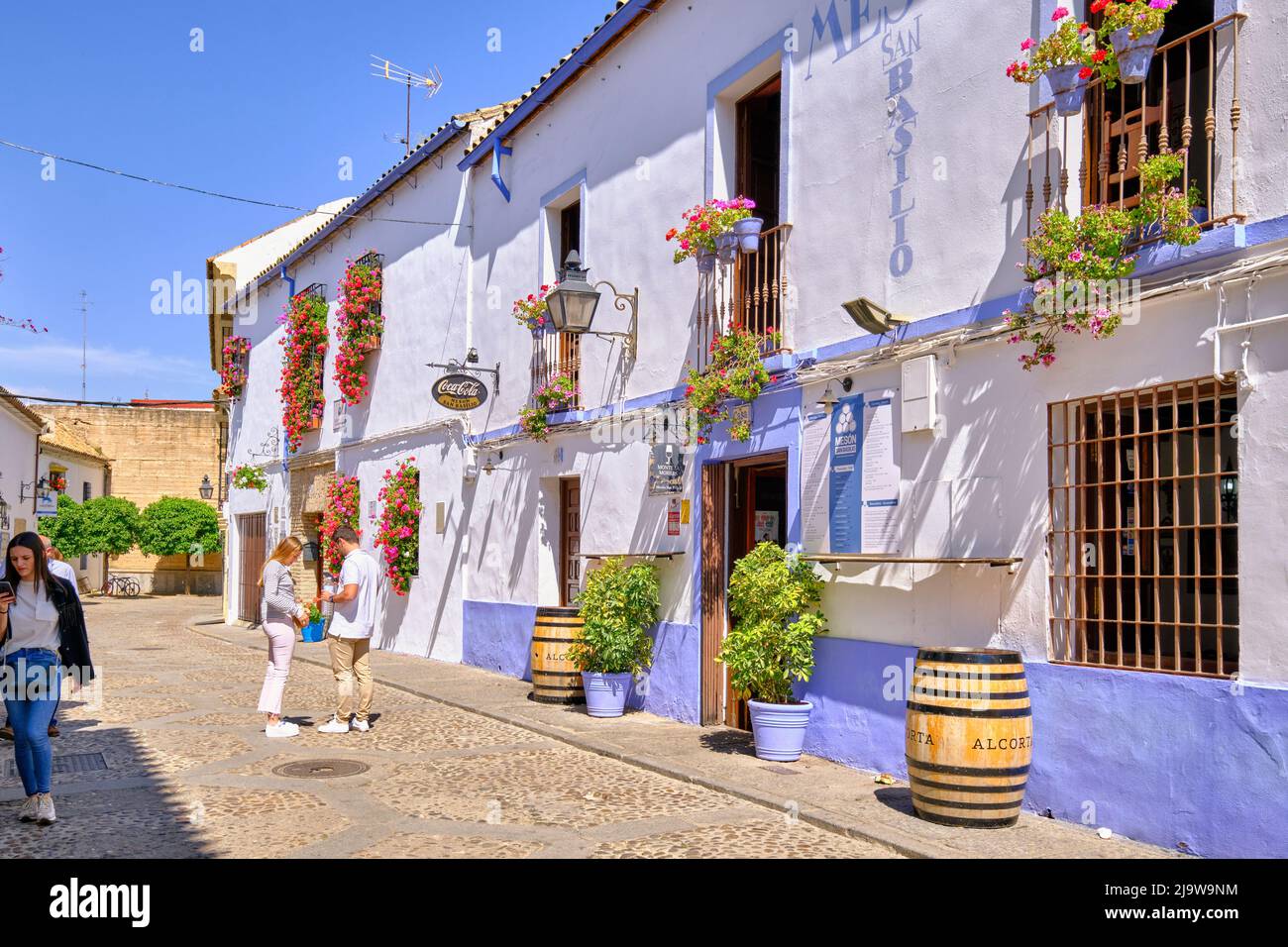 Calle de San Basilio, el casco antiguo, con un Mesón, una antigua taberna. Córdoba, Andalucía. España Foto de stock