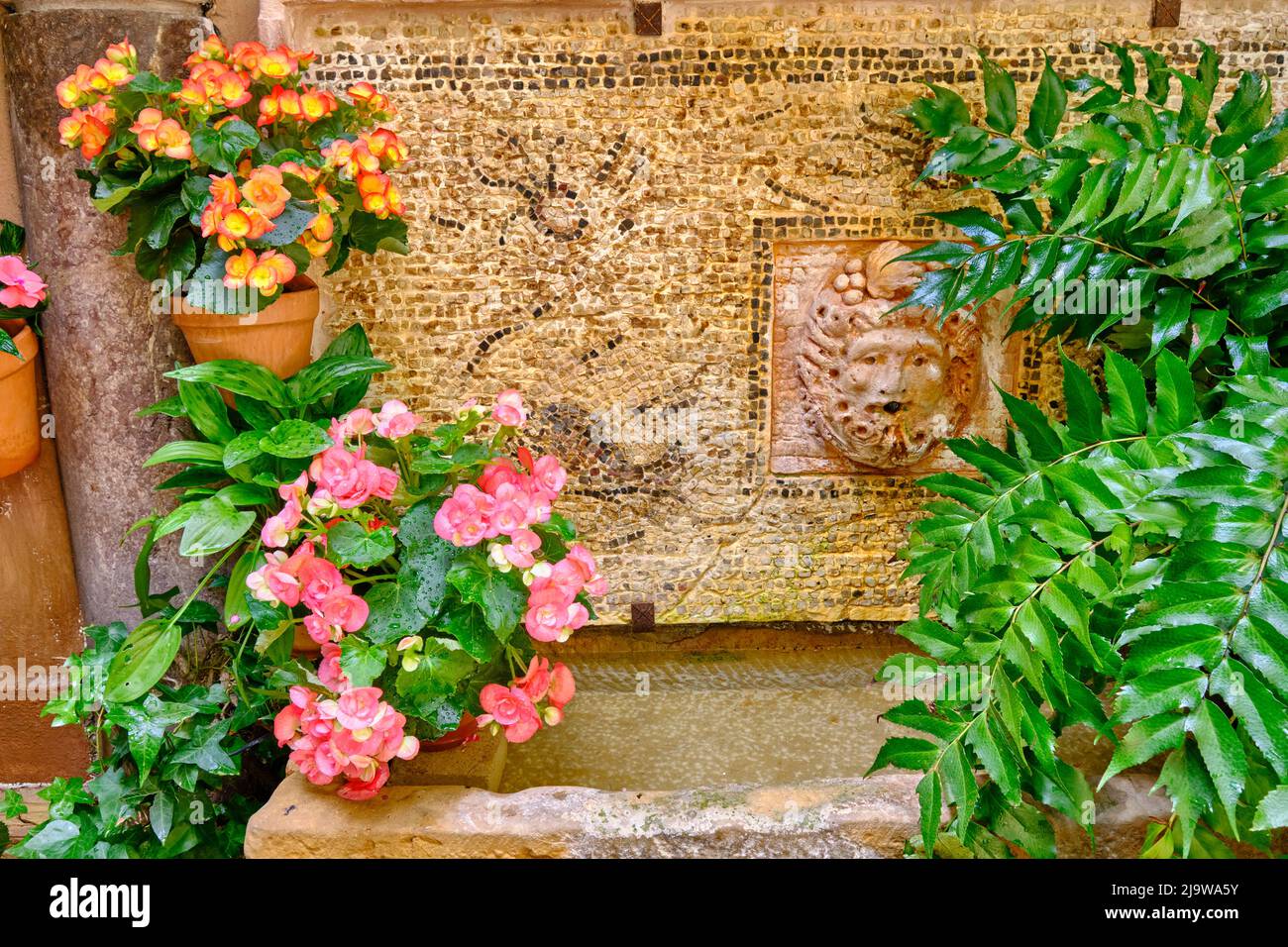 Detalle de un tradicional Patio de Córdoba, un patio lleno de flores y frescura. Andalucía, España Foto de stock
