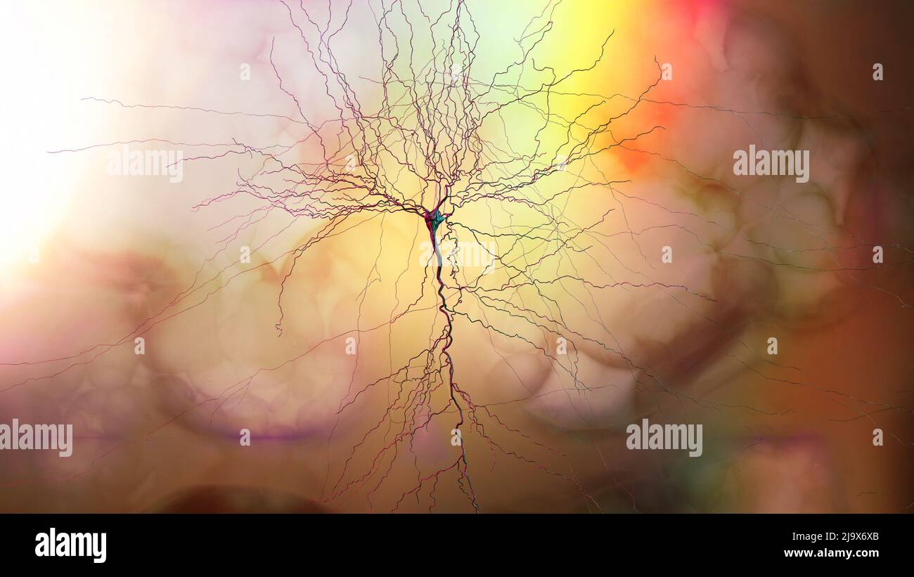 Conexiones Synapse. Estructura que permite que una neurona (o célula nerviosa) pase una señal eléctrica o química a otra neurona. Sistema nervioso. Cerebro Foto de stock