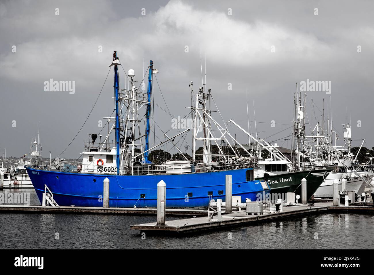 Puerto de atún, San Diego, California, EE.UU. Foto de stock