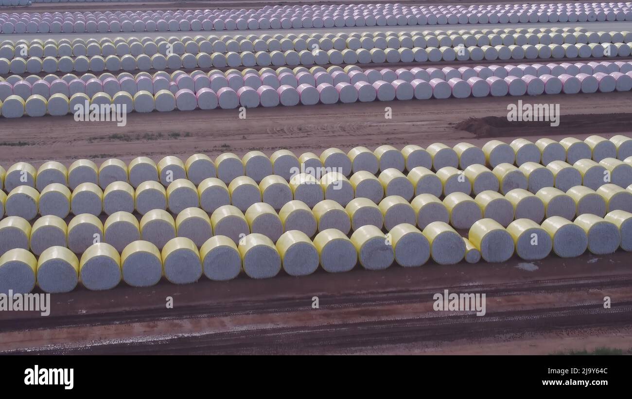 vista aérea de las hileras de fardos de algodón que se procesarán con una ginebra de algodón Foto de stock