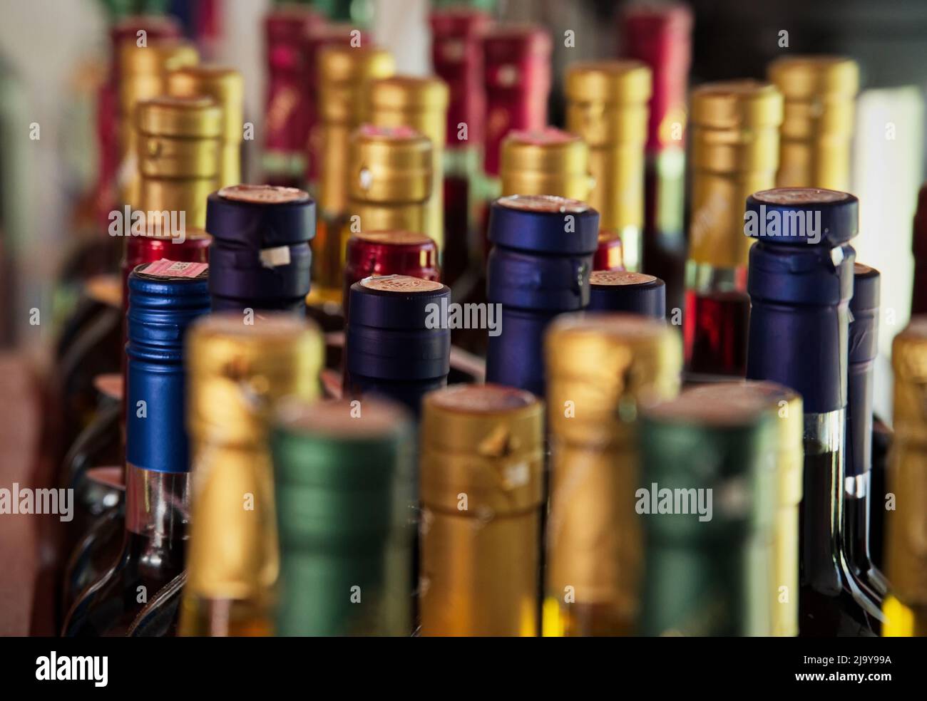 Grupo de botellas de vino de pie en fila - enfoque selectivo Foto de stock