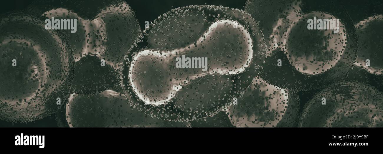 Virus close-up (Monkeypox), 3D, banner Foto de stock