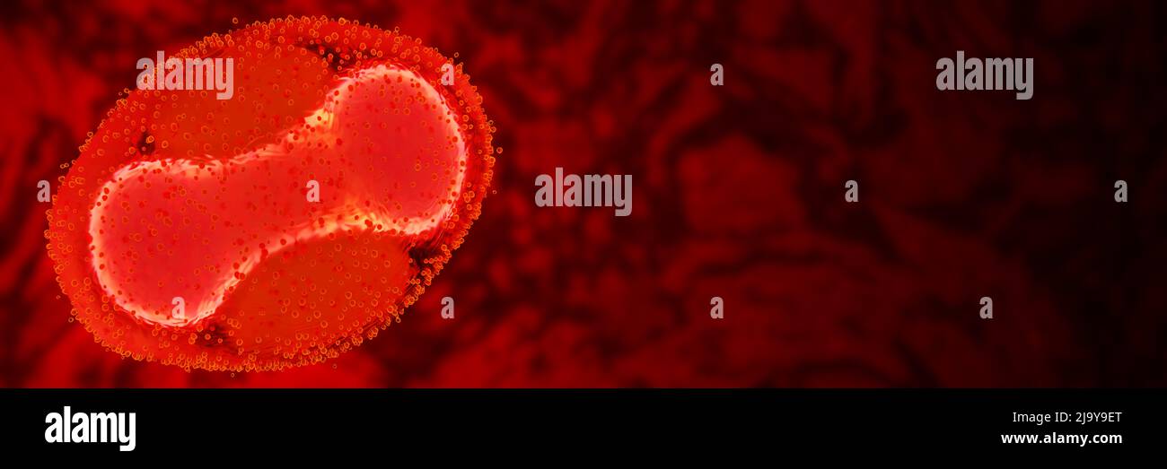 Virus (virus de la viruela del simiente), primer plano, banner de fondo rojo oscuro con espacio vacío Foto de stock