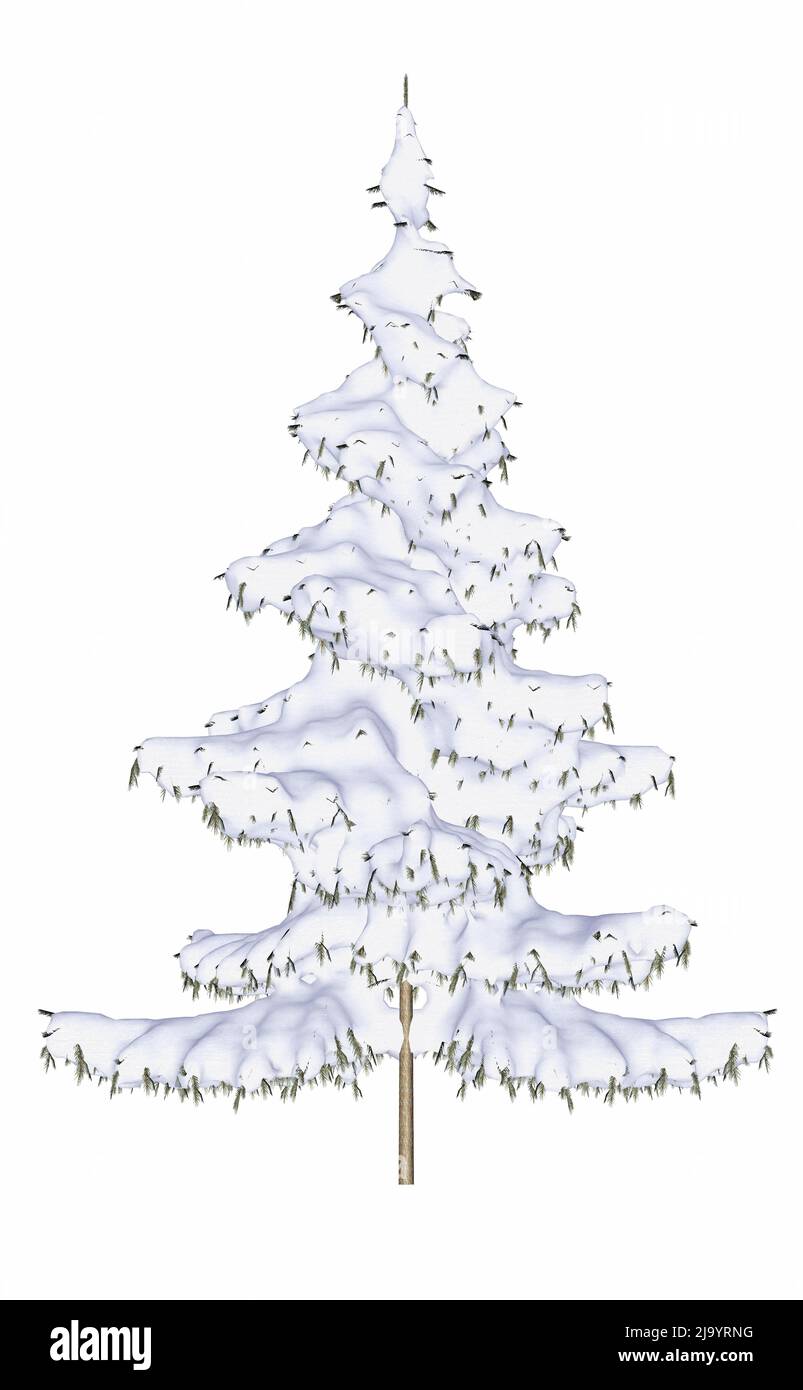 Pino de invierno o árbol ajustado cubierto de nieve aislado en fondo blanco - 3D render Foto de stock
