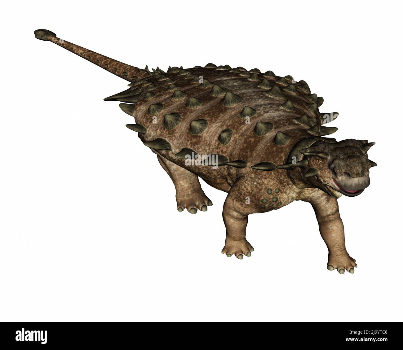 Pinacosaurus dinosaurio caminando recto aislado en fondo blanco - 3D render Foto de stock