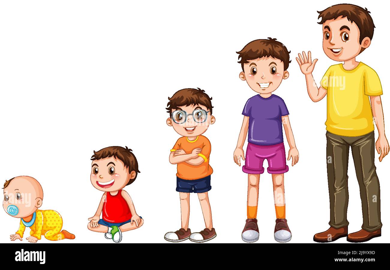 Etapas de la ilustración del crecimiento humano Imagen Vector de stock