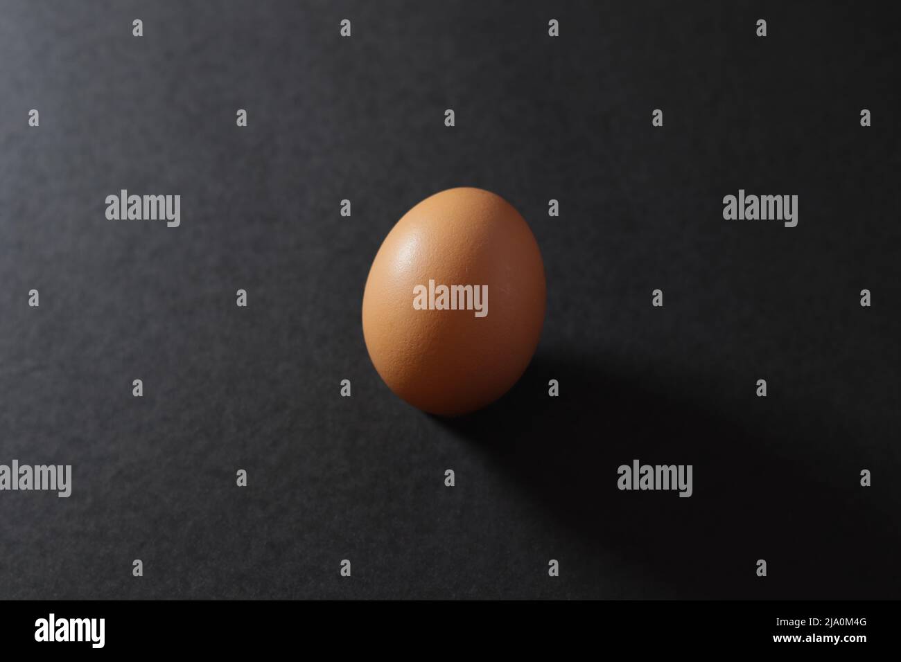 Un huevo iluminado en el lado izquierdo y sobre fondo negro Foto de stock