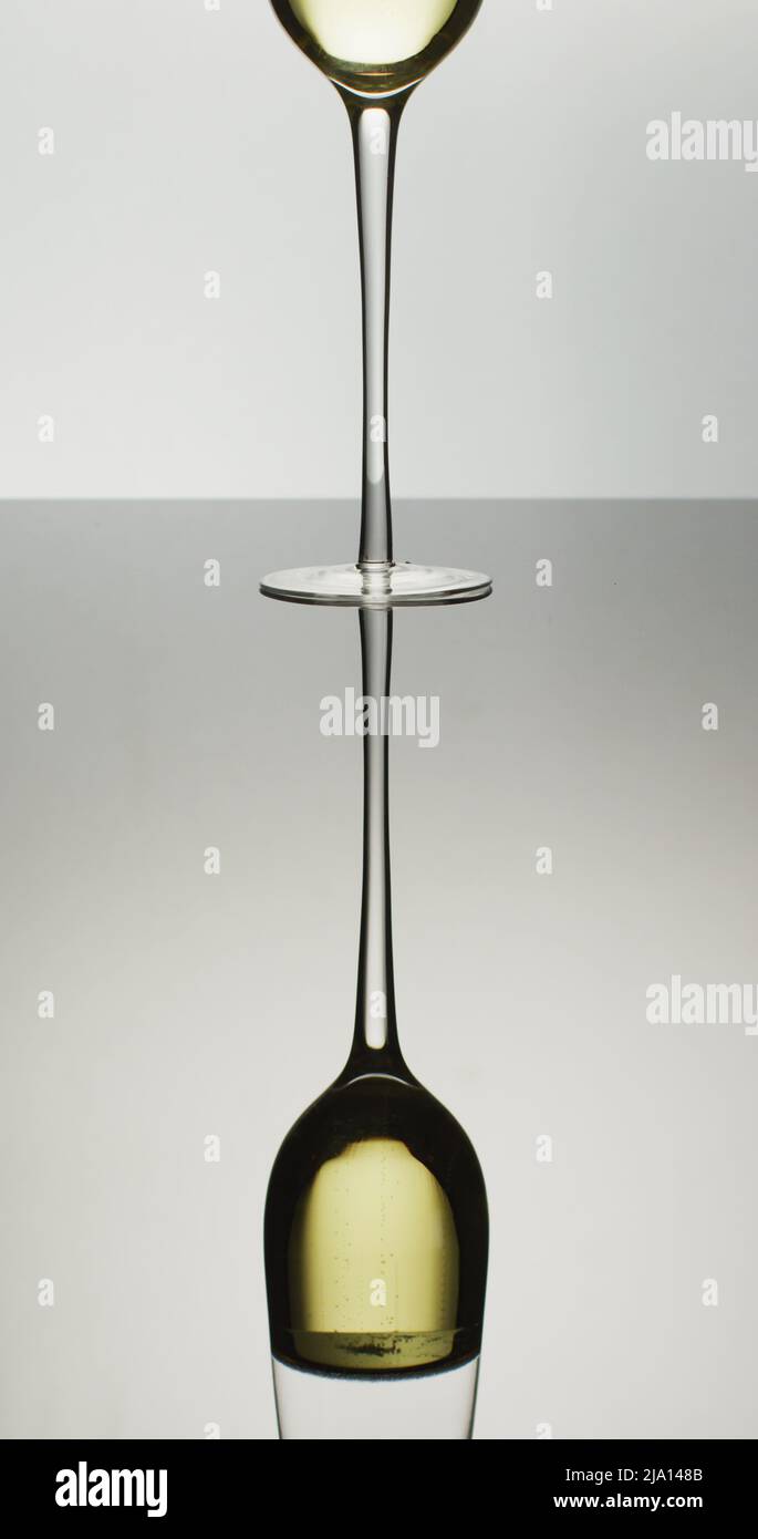 Imagen vertical de una copa de tulipán de vino blanco o champán sobre fondo blanco Foto de stock