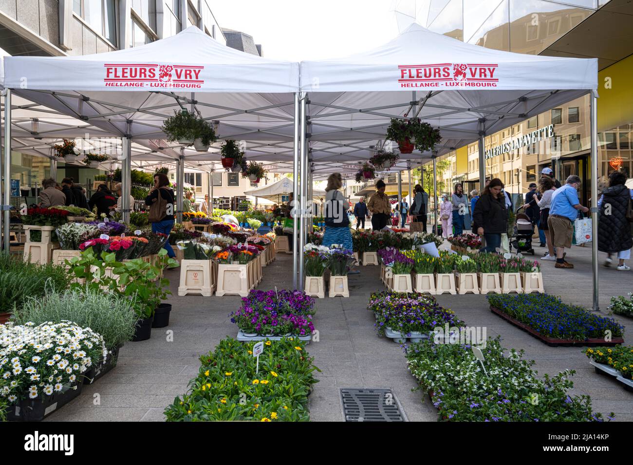 Luxemburgo, mayo de 2022. Un mercado de flores en las calles del centro de la ciudad Foto de stock