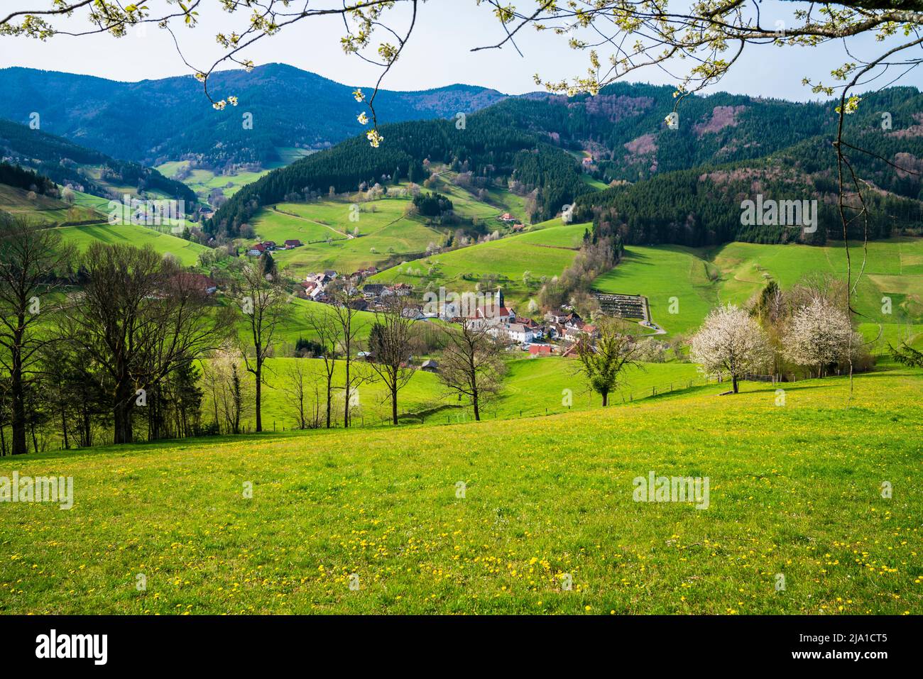 Alemania, vista rural del pueblo del bosque negro de la iglesia y las casas en el interior verde naturaleza paisaje paraíso Foto de stock