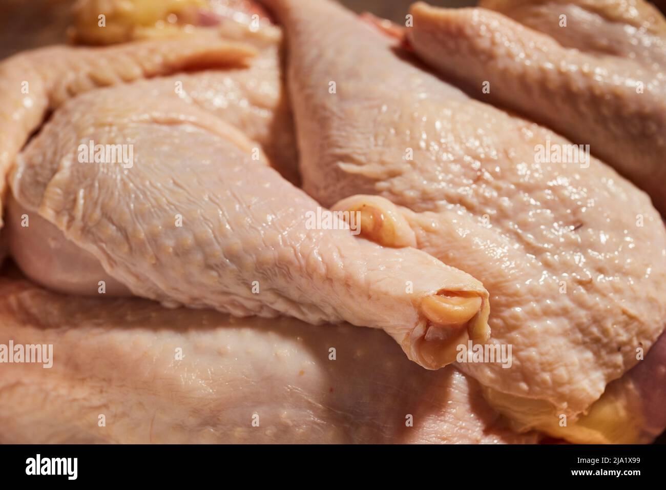Corte trozos de gallina de guisante cruda de una pequeña granja en el condado de Lancaster, Pensilvania, EE.UU. Estos pollos más viejos se cortan de esta manera para sopas y estofados. Foto de stock