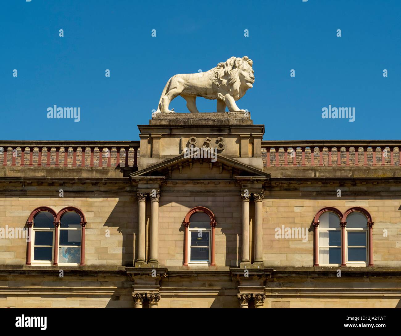 COADE estatua de piedra de león sobre los edificios del león en la calle John Williams en Huddersfield. West Yorkshire. Foto de stock