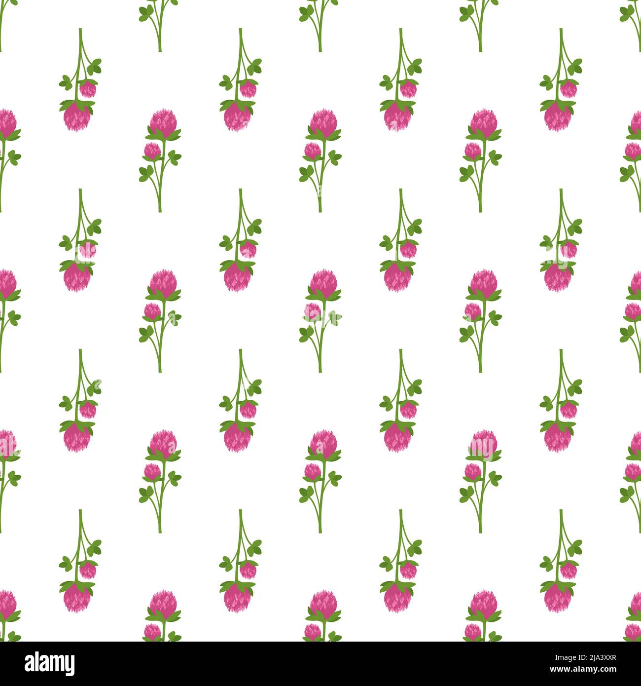 Diseño de primavera sin costuras con trébol de flores con pétalos rosas y hojas verdes de shamrock sobre fondo blanco. Estampado de plantas de verano. Ilustración de vector plano Ilustración del Vector
