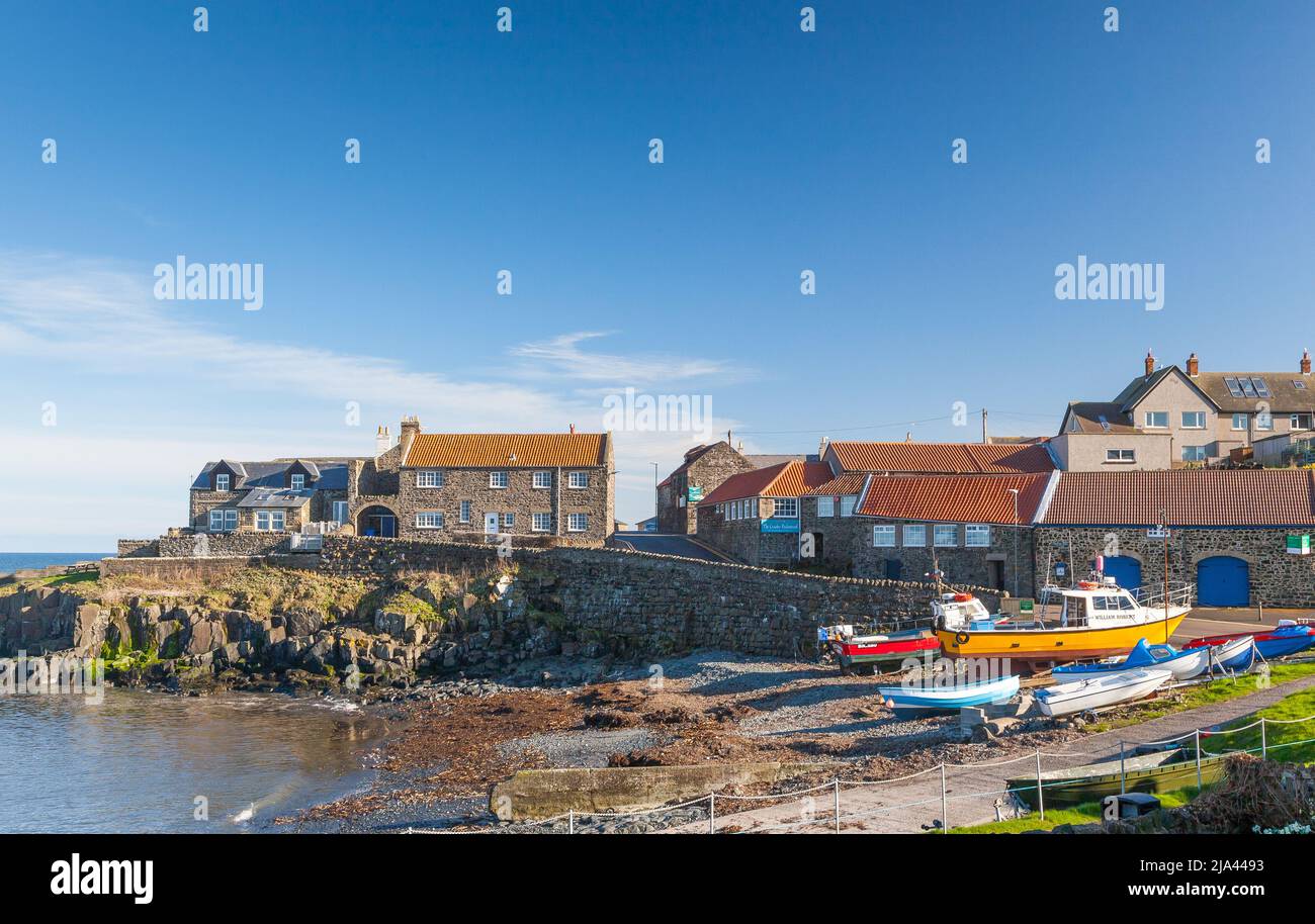 Craster Harbour Northumberland Reino Unido Foto de stock