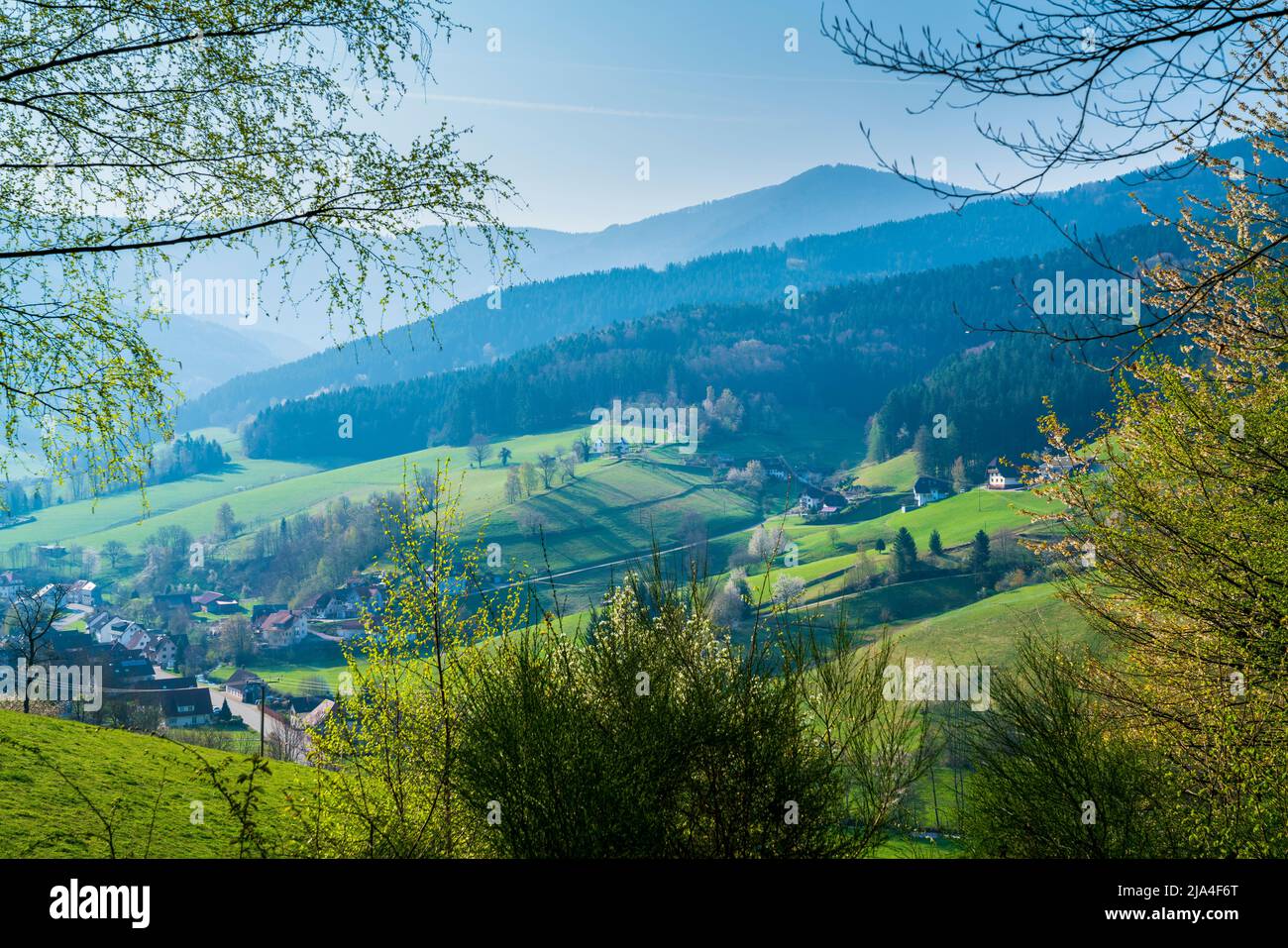 Alemania, Selva negra región turística pueblo en el valle rodeado de majestuosas montañas cubiertas de árboles en primavera con el sol Foto de stock