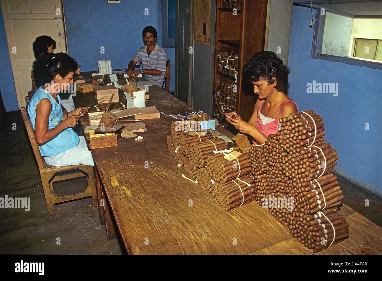 Kubanische Frauen und Maenner drehen echte kubanische Havanna-Zigarren in einer Zigarrenfabrik in Pinar del Rio, Kuba, Karibik | Cubano hombre y mujer r Foto de stock