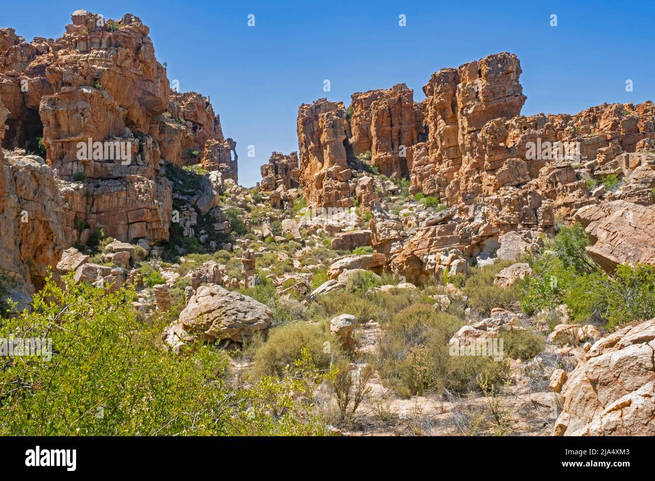 Formaciones rocosas de arenisca en Truitjieskraal en la Reserva Natural de Matjiesrivier, Cederberg Wilderness, Western Cape, Sudáfrica Foto de stock