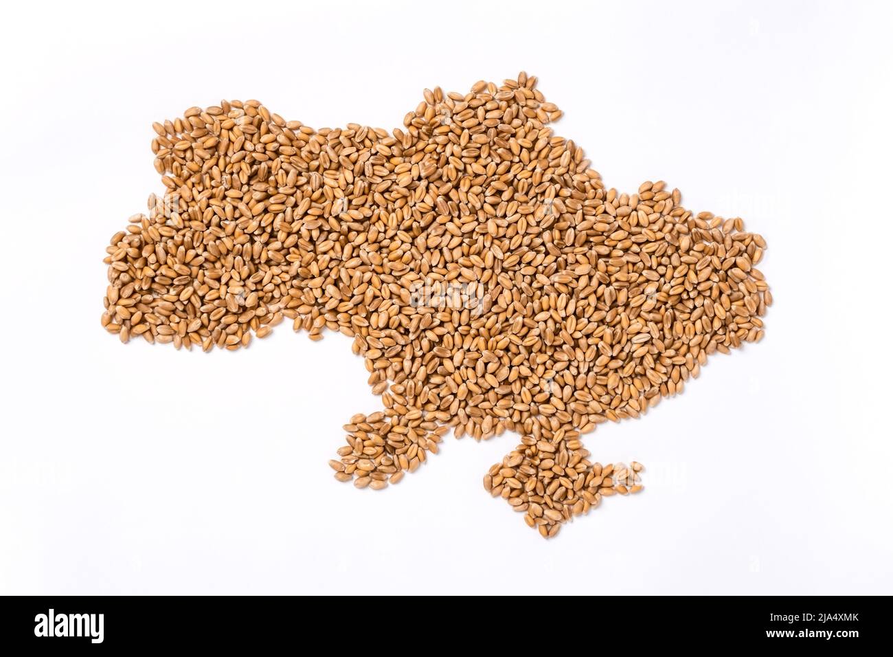 Mapa de Ucrania hecho de granos de trigo como principal país exportador de cereales en Europa. Concepto de la crisis del suministro de alimentos y la escasez mundial de alimentos y el hambre porque Foto de stock