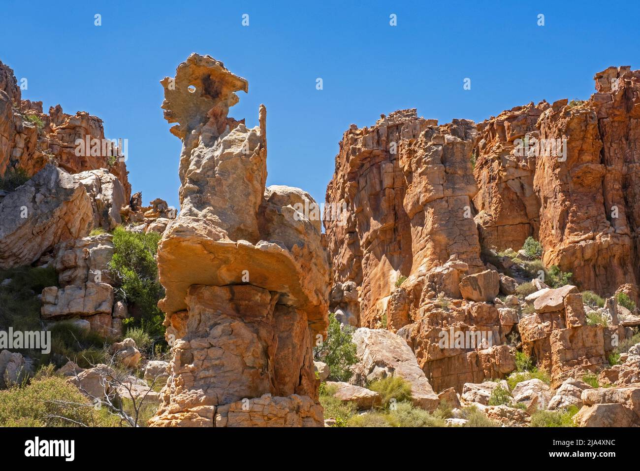 Formaciones rocosas de arenisca en Truitjieskraal en la Reserva Natural de Matjiesrivier, Cederberg Wilderness, Western Cape, Sudáfrica Foto de stock