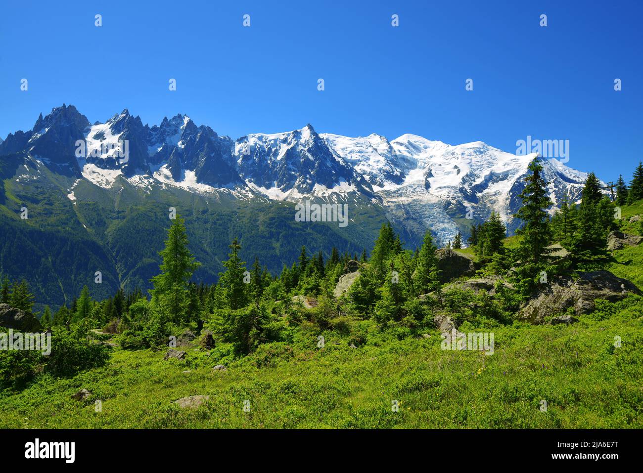 Idílico paisaje con la cordillera del Mont Blanc en días soleados. Reserva Natural Aiguilles Rouges, Alpes Graianos, Francia, Europa. Foto de stock