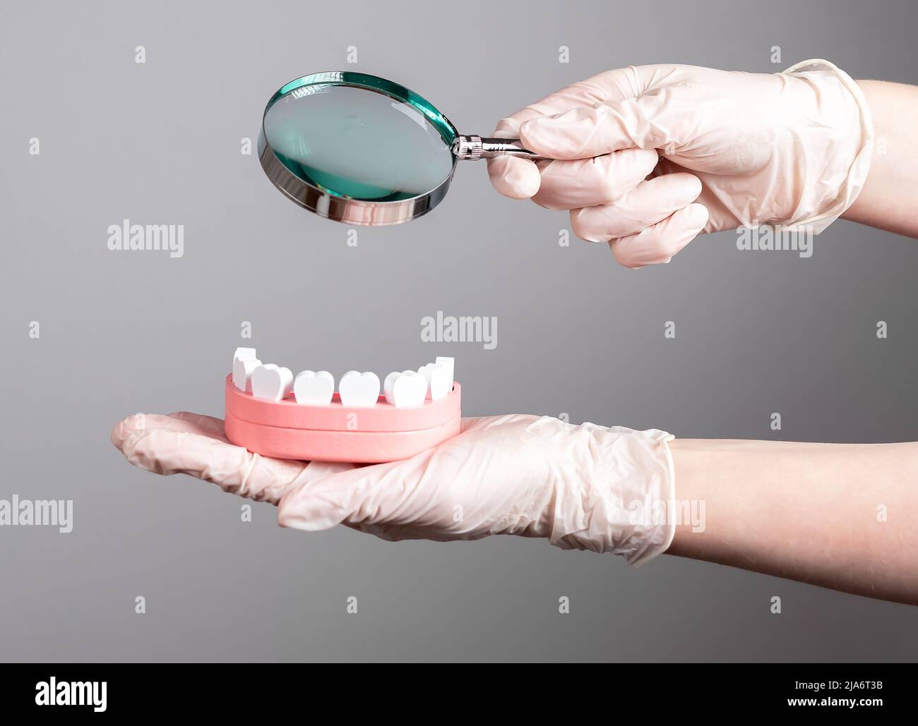 Dentista con lupa sobre modelo de mandíbula con dientes. Chequeos dentales  regulares, dientes, encías, examen de la boca, prevención de enfermedades  periodontales. Cuidado de la salud, concepto de estomatología. Foto  Fotografía de