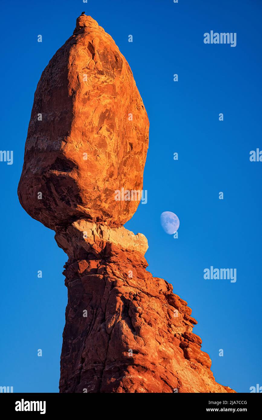 Balanced Rock y luna en ascenso en el Parque Nacional Arches en Utah Foto de stock