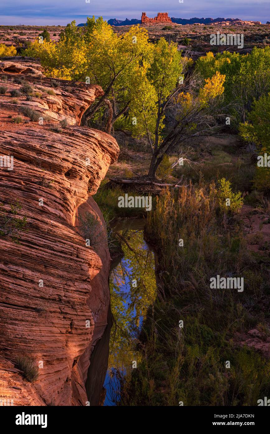 Otoñales y rocas rojas del Parque Nacional Arches en Utah Foto de stock