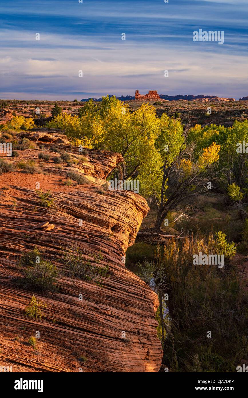 Otoñales y rocas rojas del Parque Nacional Arches en Utah Foto de stock