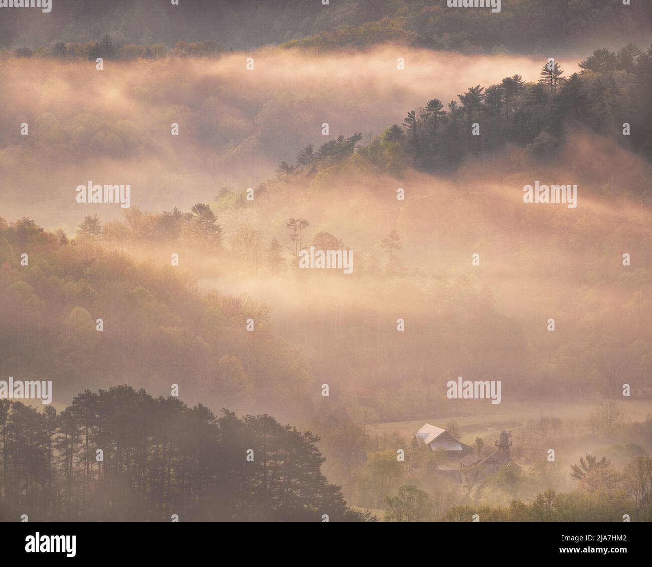 Mañana Misty en el Parque Nacional Great Smoky Mountains Foto de stock