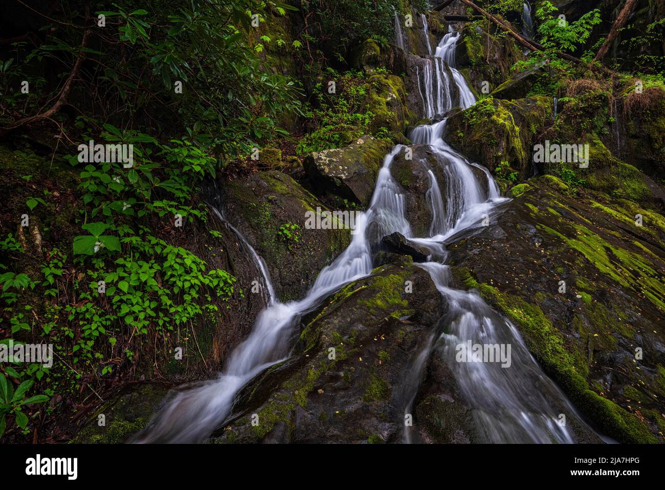 Lugar de mil gotas en el Parque Nacional Great Smoky Mountain Foto de stock