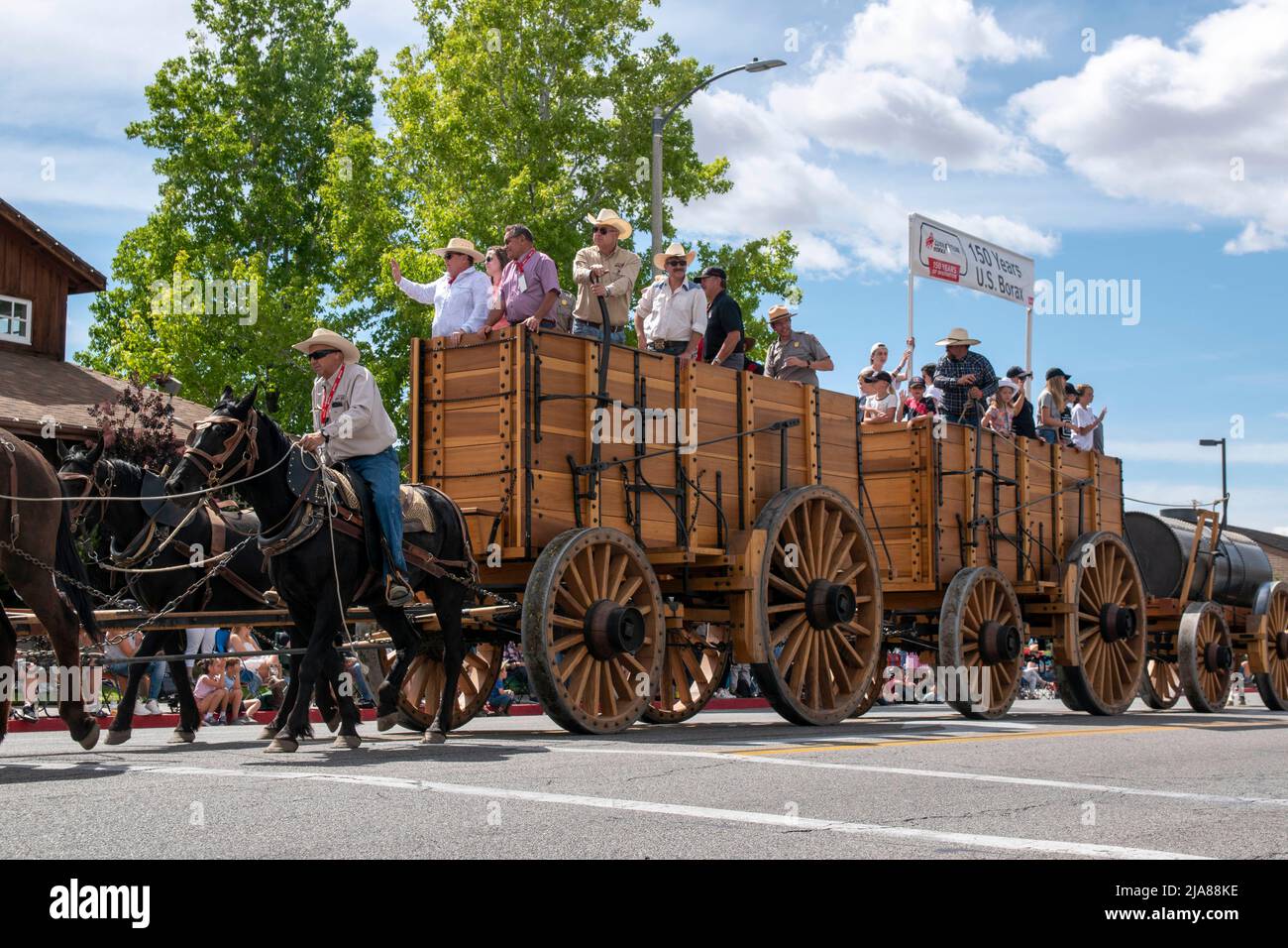 El desfile de los días de la Mule es un elemento básico de la
