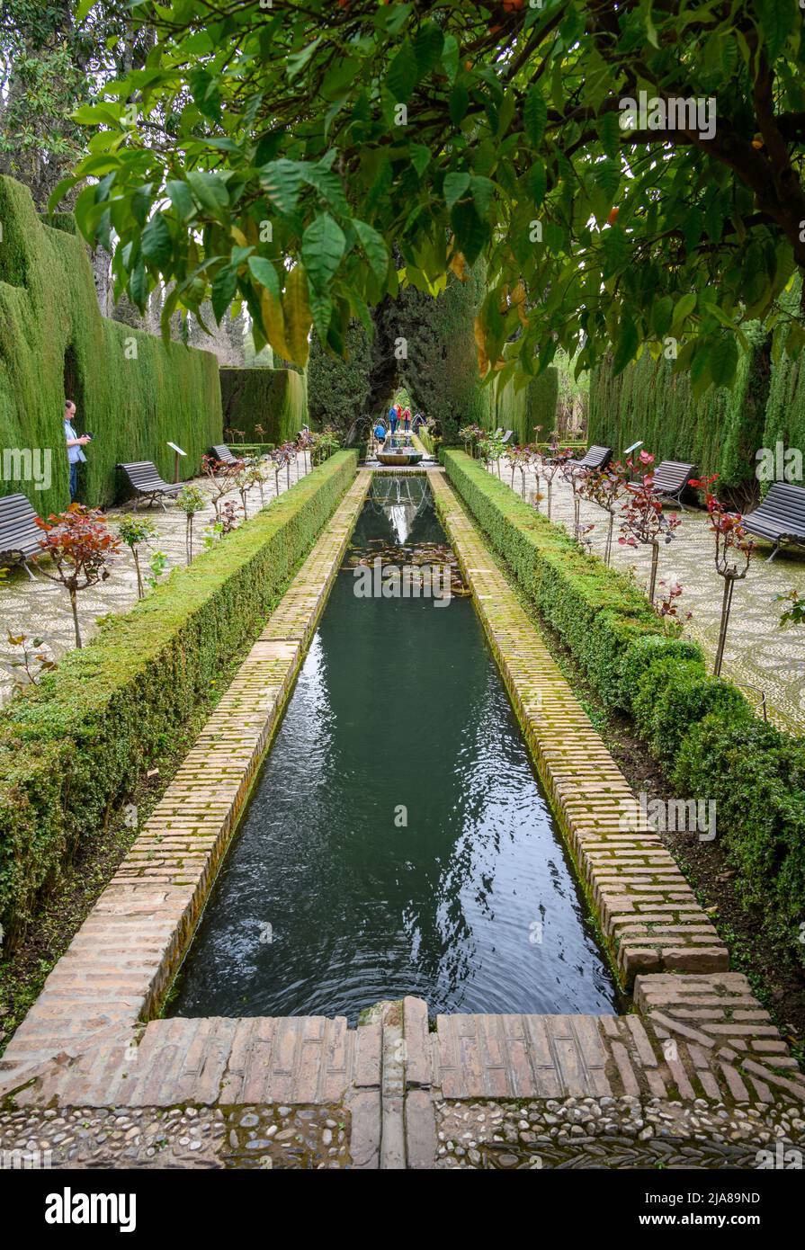Jardines Bajo del Generalife, jardines y estanque en la Alhambra, Granada, España. Foto de stock