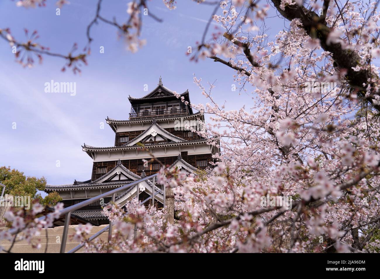 Castillo de Hiroshima y flor de cerezos, ciudad de Hiroshima, Honshu occidental, Japón Foto de stock