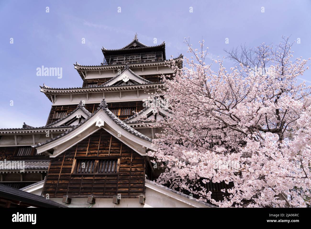 Castillo de Hiroshima y flor de cerezos, ciudad de Hiroshima, Honshu occidental, Japón Foto de stock