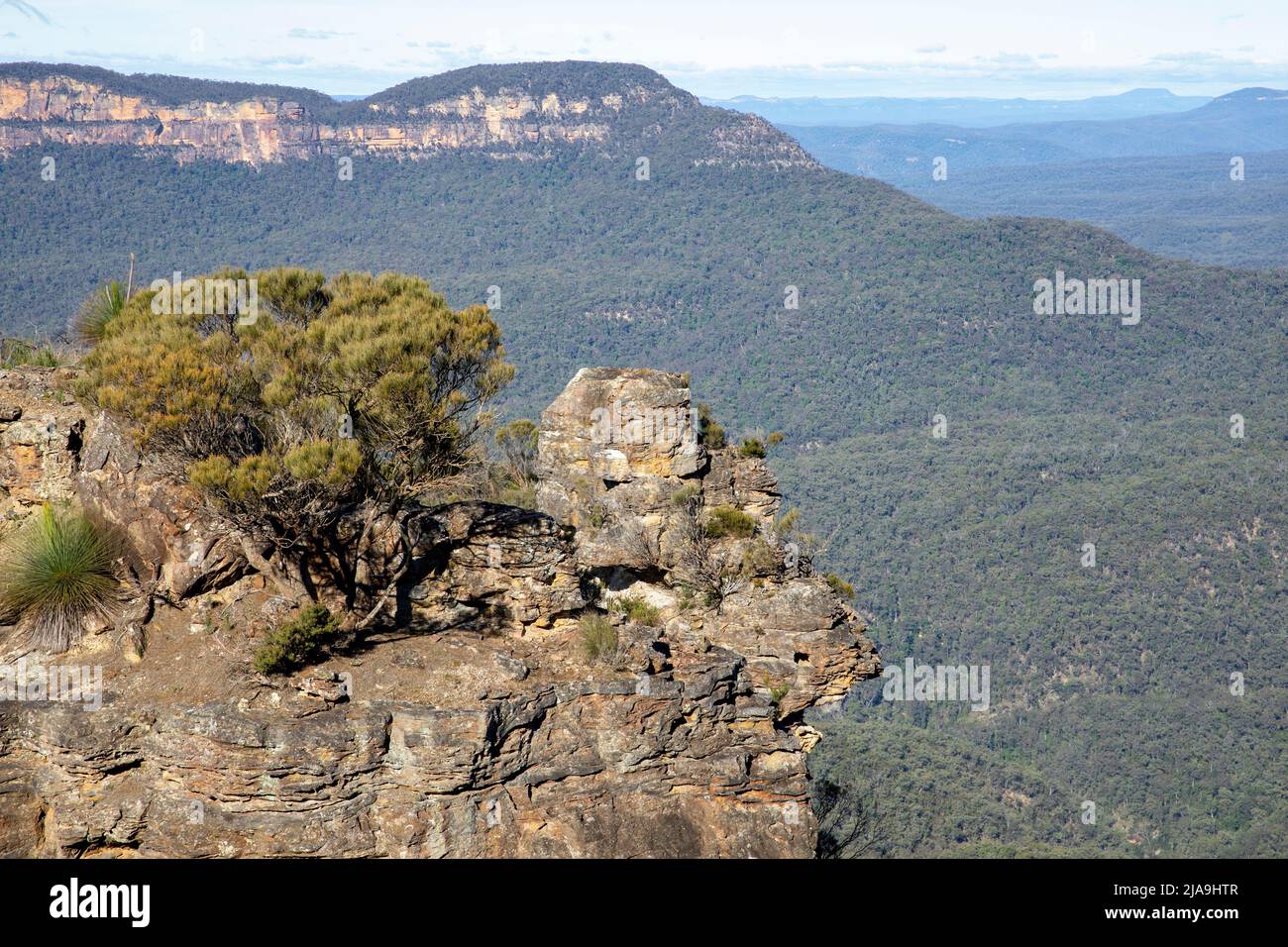 Cerca de una de las tres formaciones rocosas Hermanas en Jamison Valley, Mount Solitary en la distancia, Blue Mountains, NSW, Australia Foto de stock