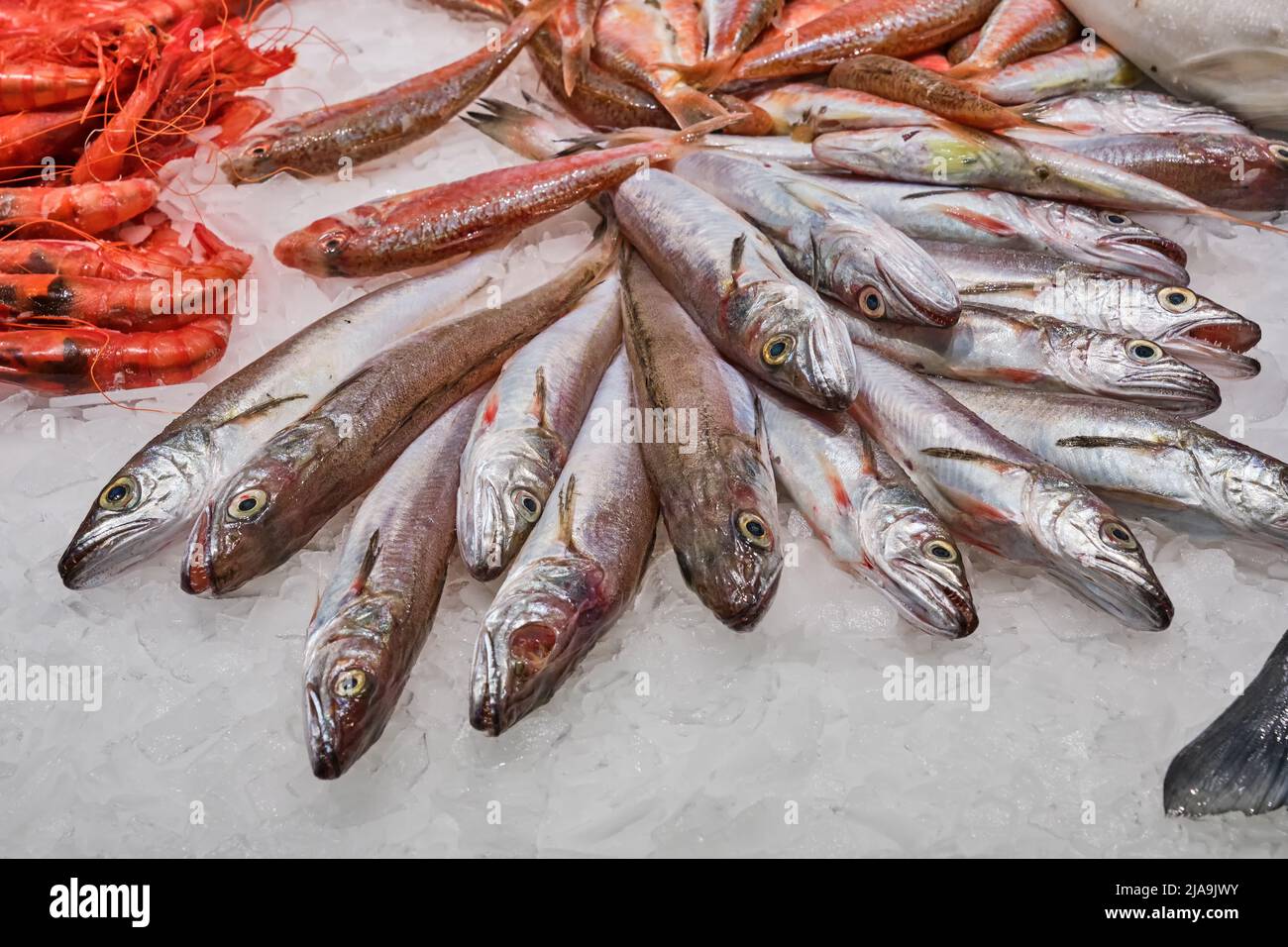 Pescados y mariscos a la venta en un mercado de Barcelona, España Foto de stock