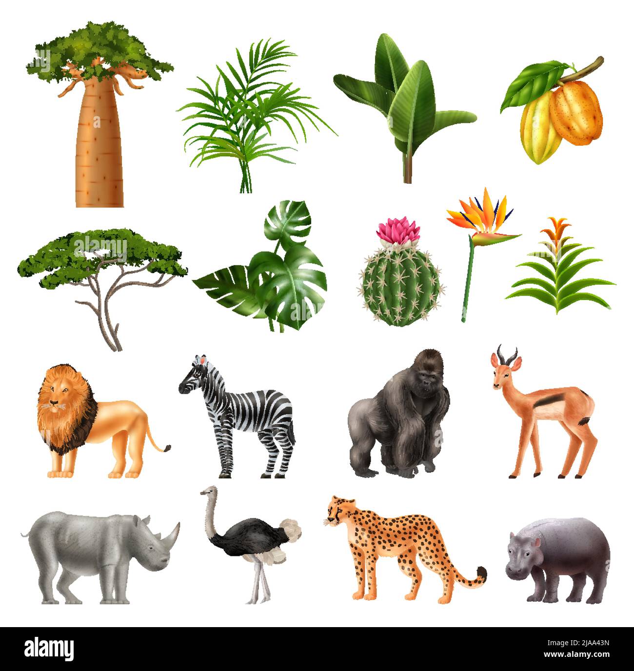 Realista áfrica Conjunto de iconos aislados con plantas tropicales frutas e imágenes de animales exóticos silvestres ilustración vectorial Ilustración del Vector