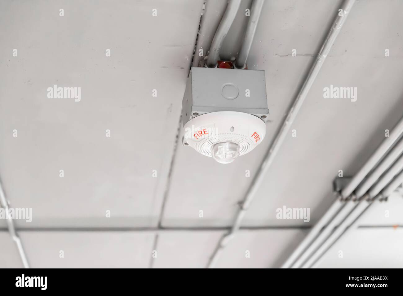 Detector de humo en el techo en caso de alarma de incendio por humo como  advertencia de protección contra incendios
