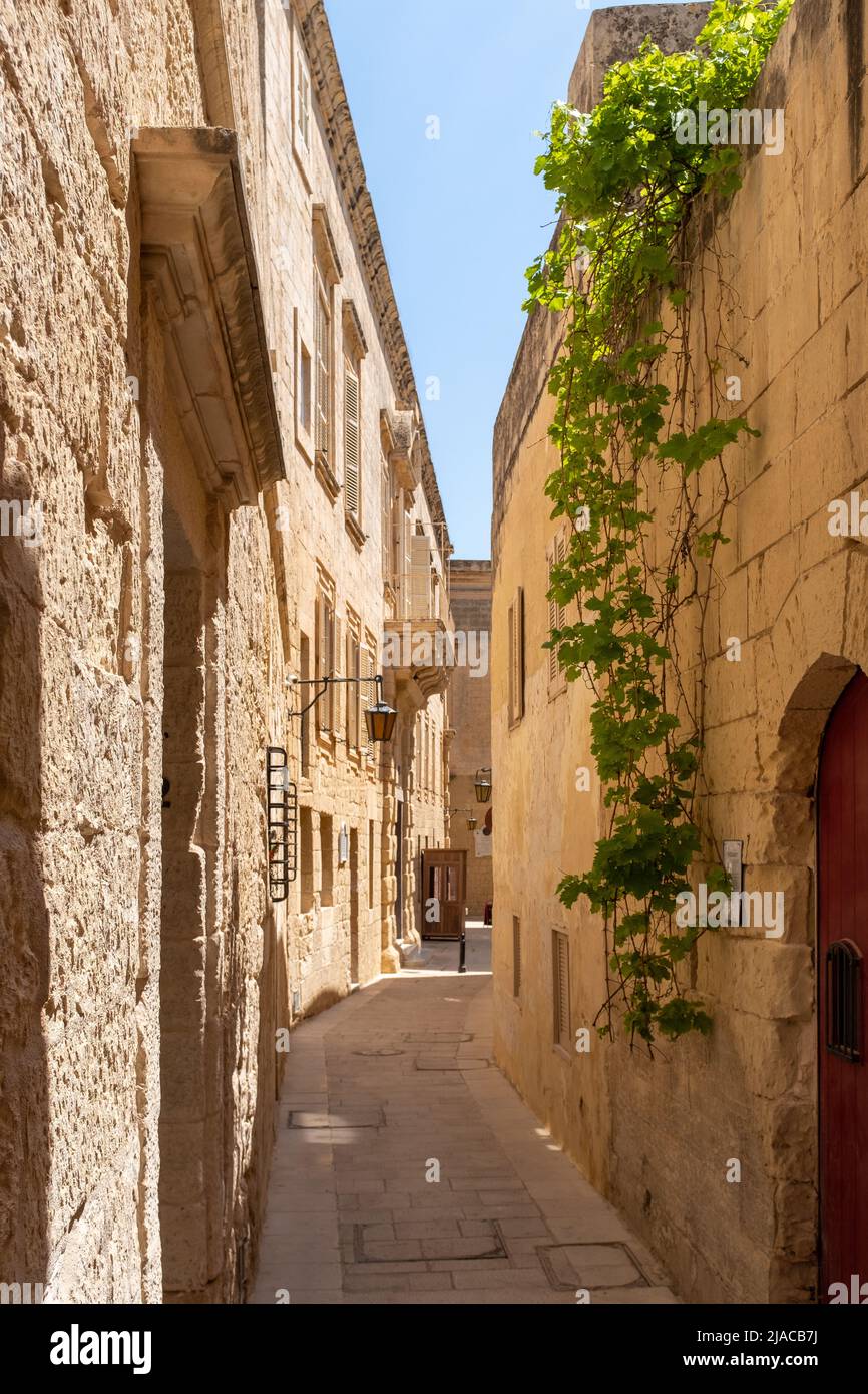 Mdina, Malta Foto de stock