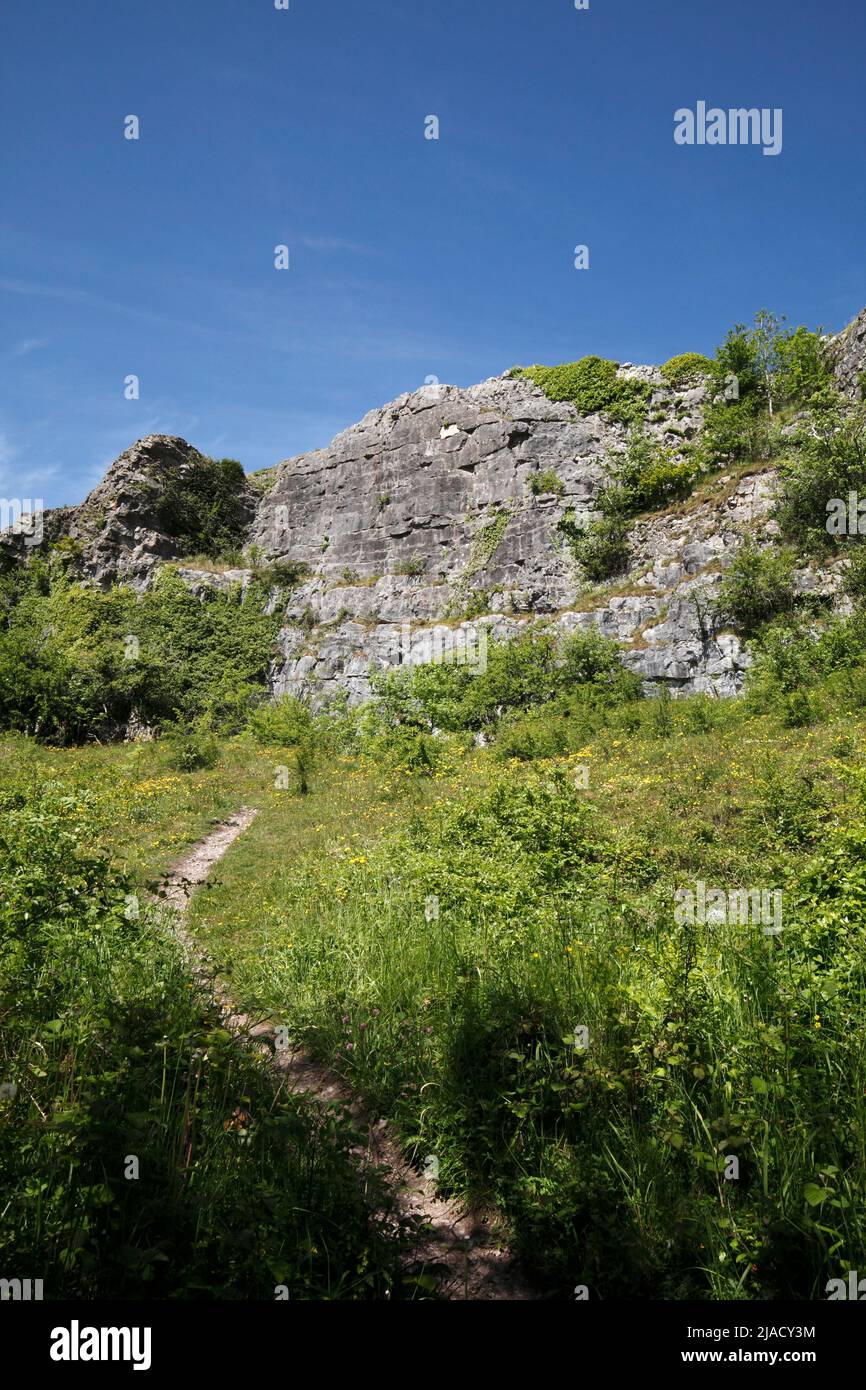 Reserva natural Llanymynech Rocks. Shropshire. Foto de stock