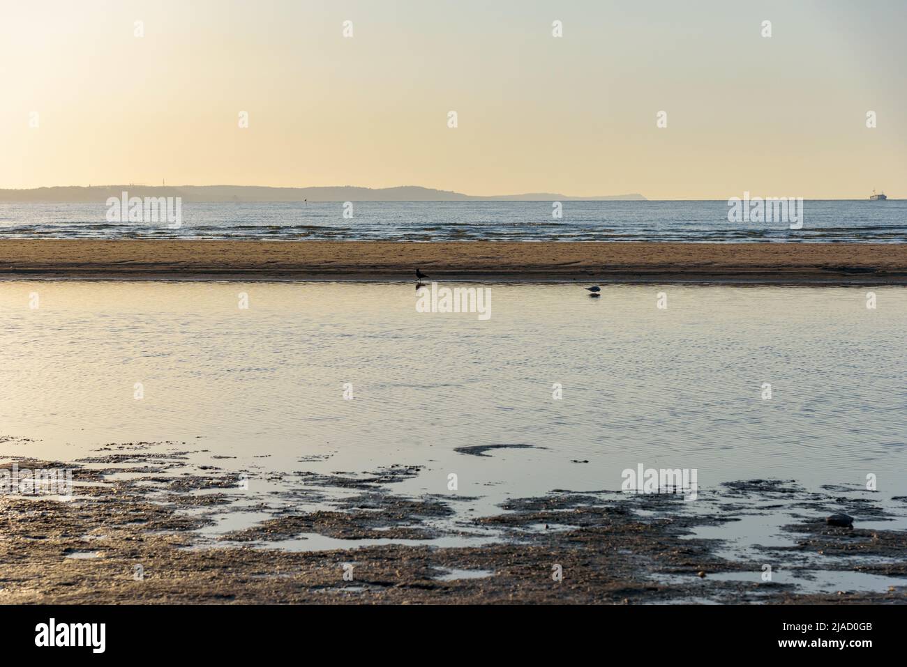 Costa del mar Báltico en Swinoujscie en Polonia bajo el sol de la tarde Foto de stock