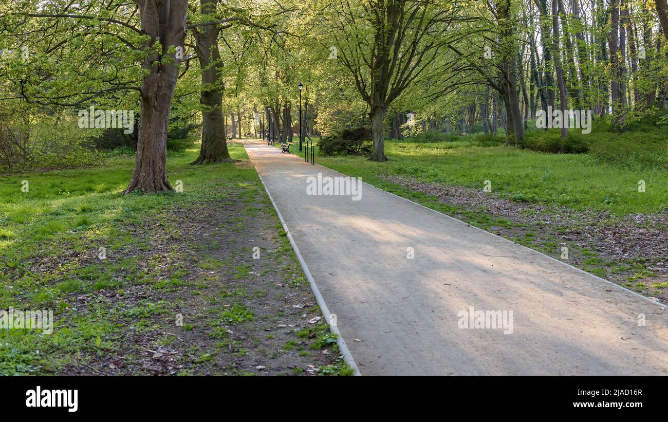Vista del callejón en el parque Zdrojowy en Swinoujscie en Polonia Foto de stock