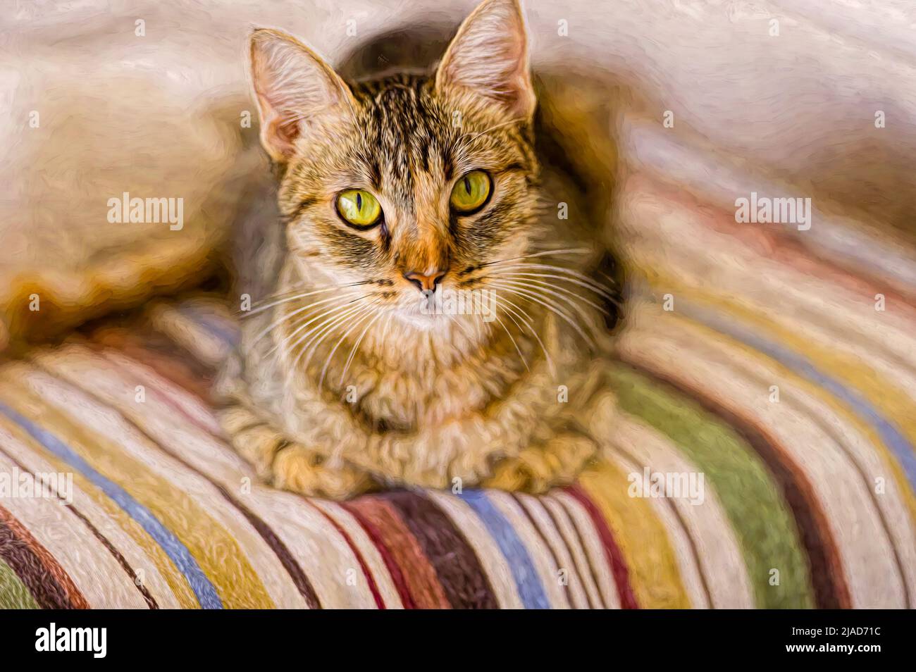 Un gato tabby descansa sobre una manta colorida en formato de pintura de ilustración Foto de stock